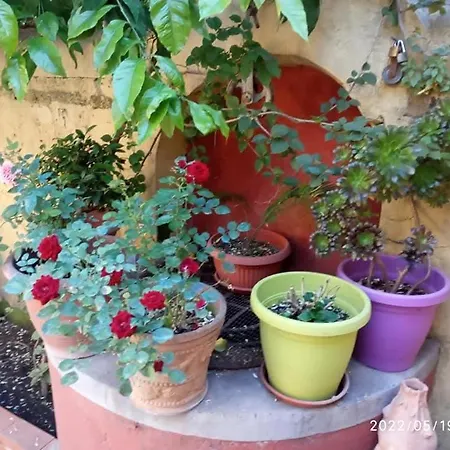 Il Girasole Bed & Breakfast Lauro